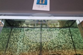 Кранево - хотел „Еко Терма Вилидж“ - СПА център - туризъм