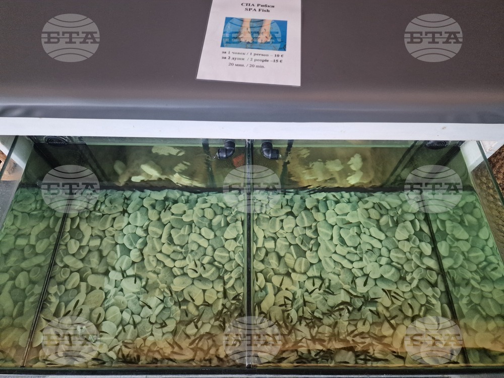 Кранево - хотел „Еко Терма Вилидж“ - СПА център - туризъм