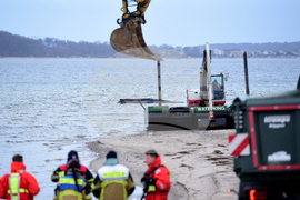 Germany Whale Rescue