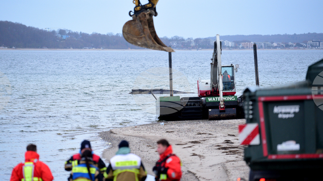 Спасители се опитват да изкопаят подводен ров, за да спасят заседналия кит в Германия 
