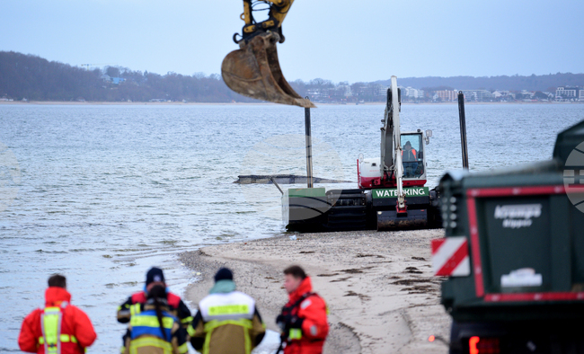 Germany Whale Rescue