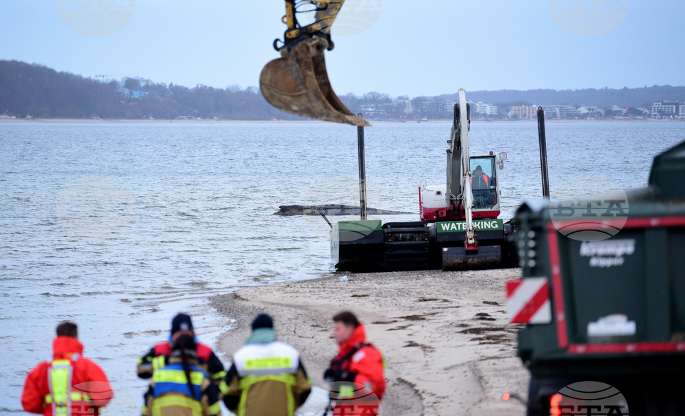 Germany Whale Rescue