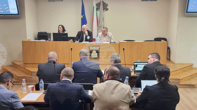 Общинският съвет в Плевен създаде временна комисия за изготвяне на предложения за назначаването на зооинспектор и промени в наредба