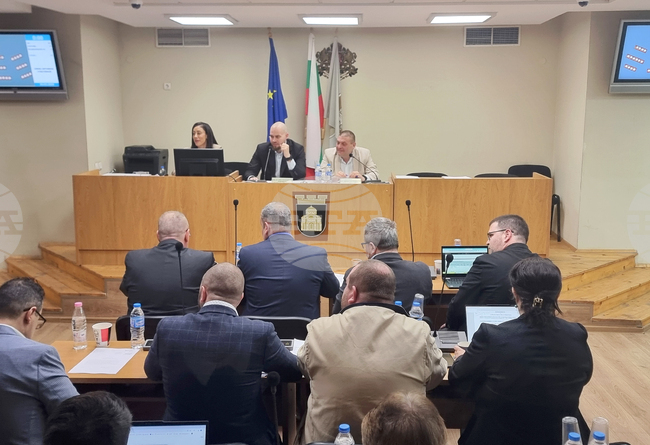 Общинският съвет в Плевен създаде временна комисия за изготвяне на предложения за назначаването на зооинспектор и промени в наредба