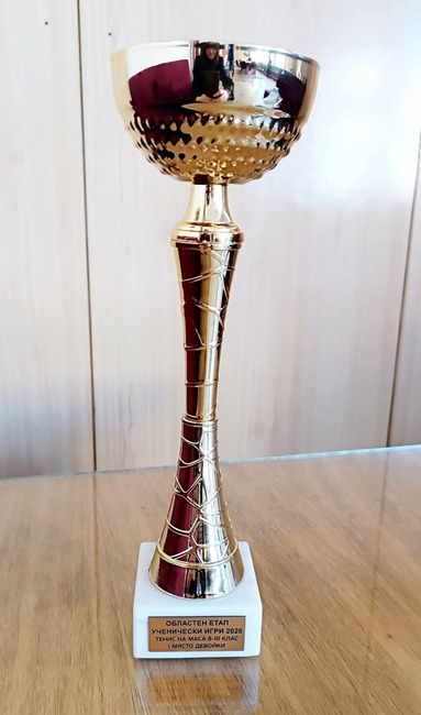 Отборите на Община Банско с достойно представяне в областния етап от „Ученическите игри“