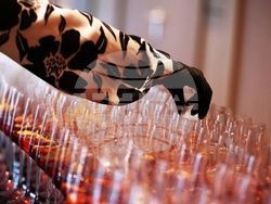 Класация DiVino TOP 50