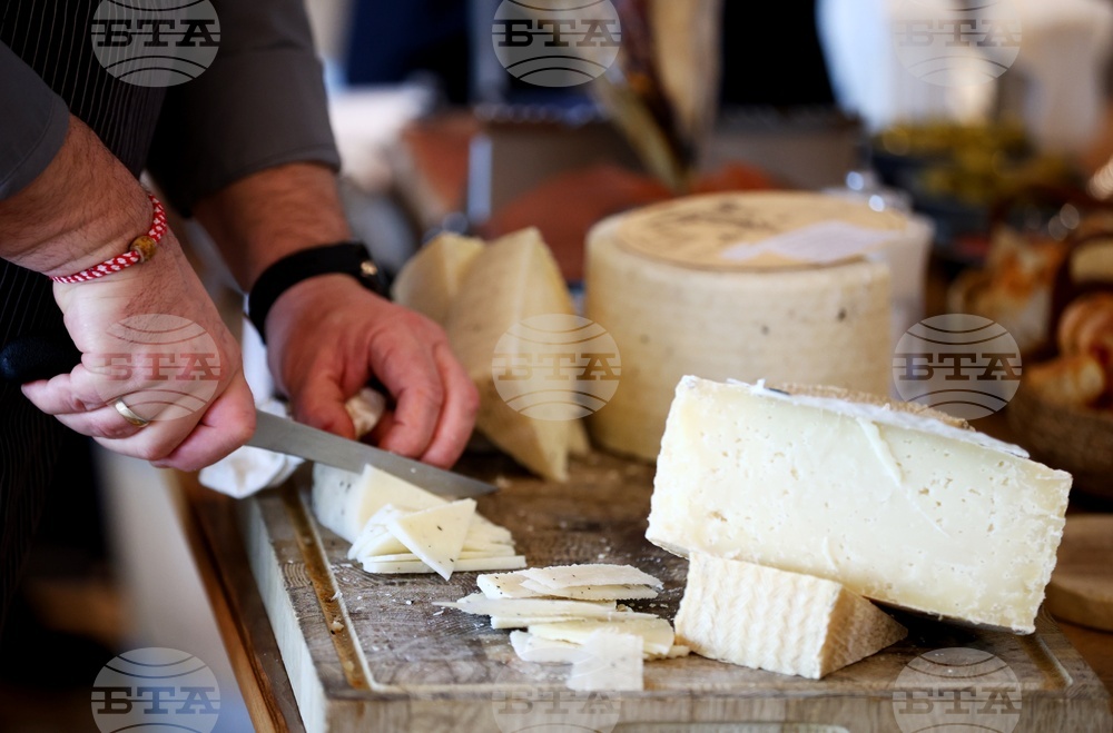 Класация DiVino TOP 50