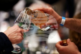 Класация DiVino TOP 50