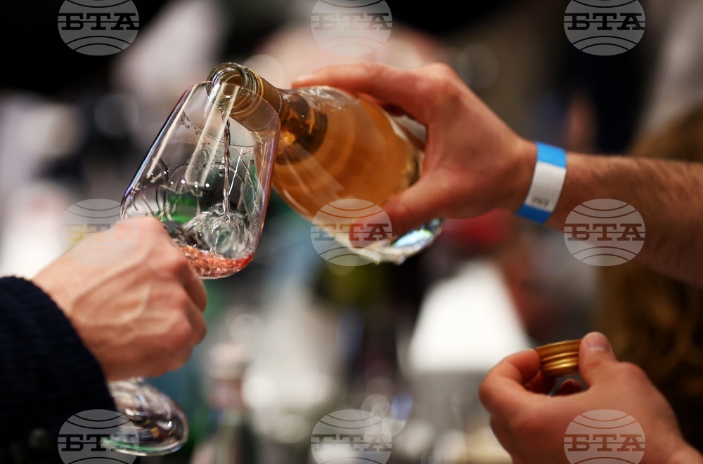 Класация DiVino TOP 50