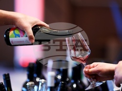 Класация DiVino TOP 50