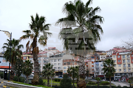 Турция - Трабзон - среща за търговия, туризъм, екология и финанси