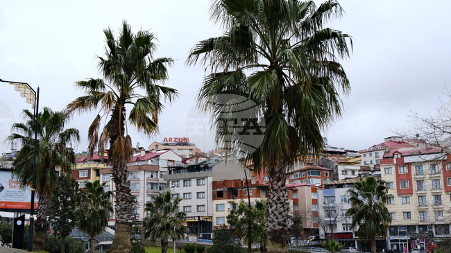 Turkish City of Trabzon to Host Summit Dedicated to Black Sea Economic Cooperation