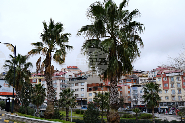 Turkish City of Trabzon to Host Summit Dedicated to Black Sea Economic Cooperation