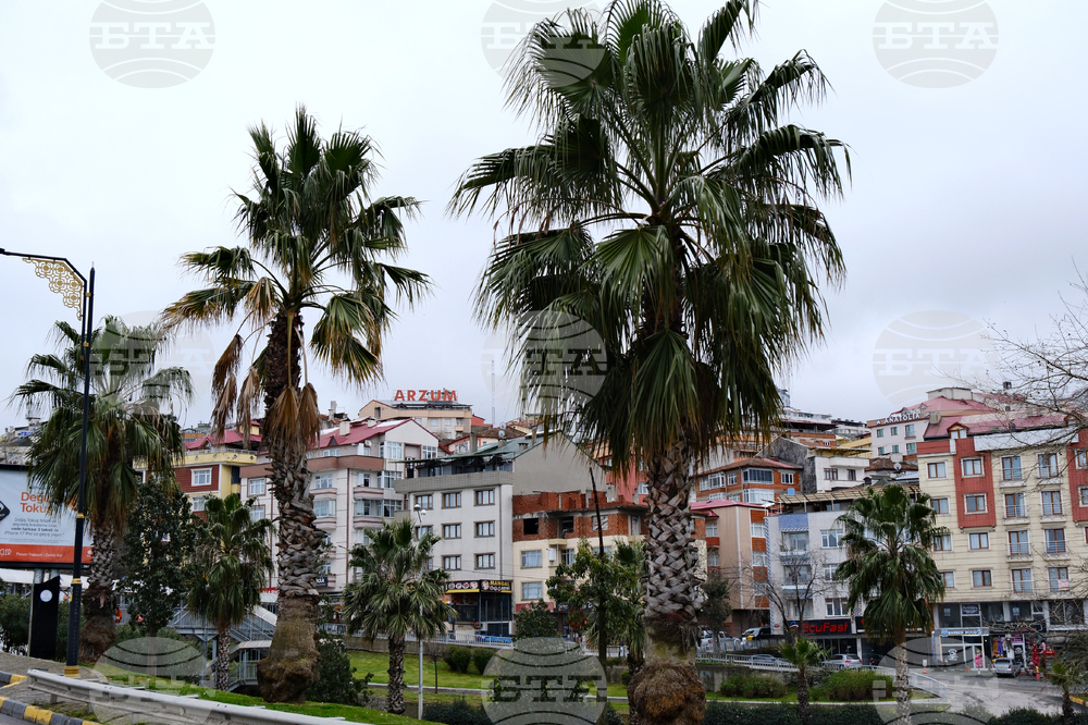 Турция - Трабзон - среща за търговия, туризъм, екология и финанси