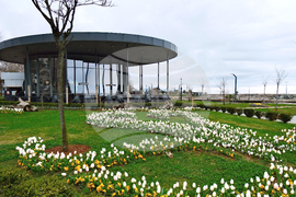 Турция - Трабзон - среща за търговия, туризъм, екология и финанси