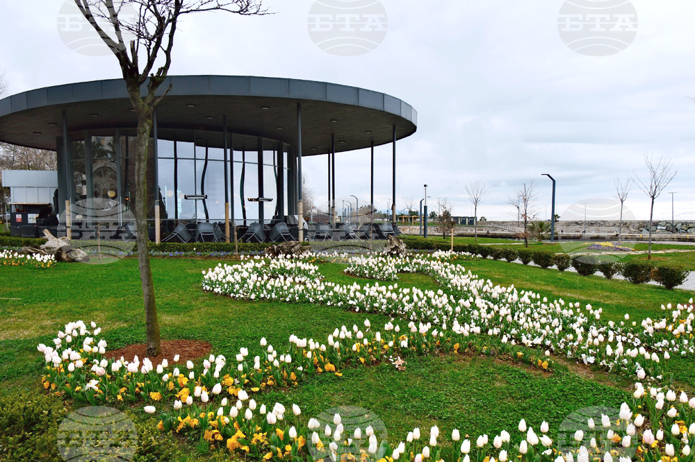 Турция - Трабзон - среща за търговия, туризъм, екология и финанси