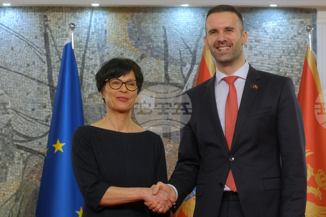 Черна гора бележи напредък по пътя си към ЕС, но трябва да ускори европейските реформи, каза еврокомисарят Марта Кос в Подгорица