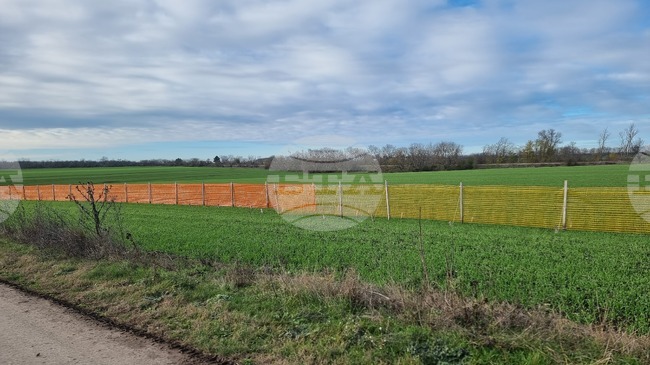 Възходящата тенденция в цените на зърнените култури на световните борси се затвърждава през седмицата, по данни на ССБ