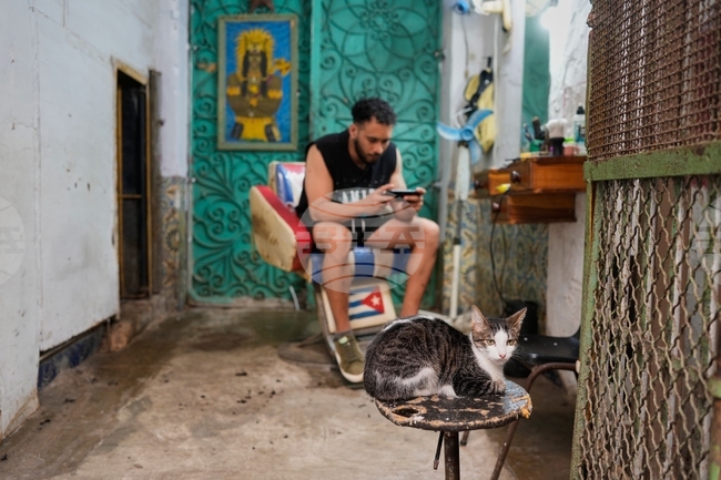 БТА: ОТ АРХИВИТЕ