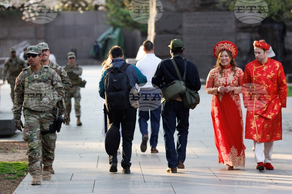 Washington Cherry Blossom