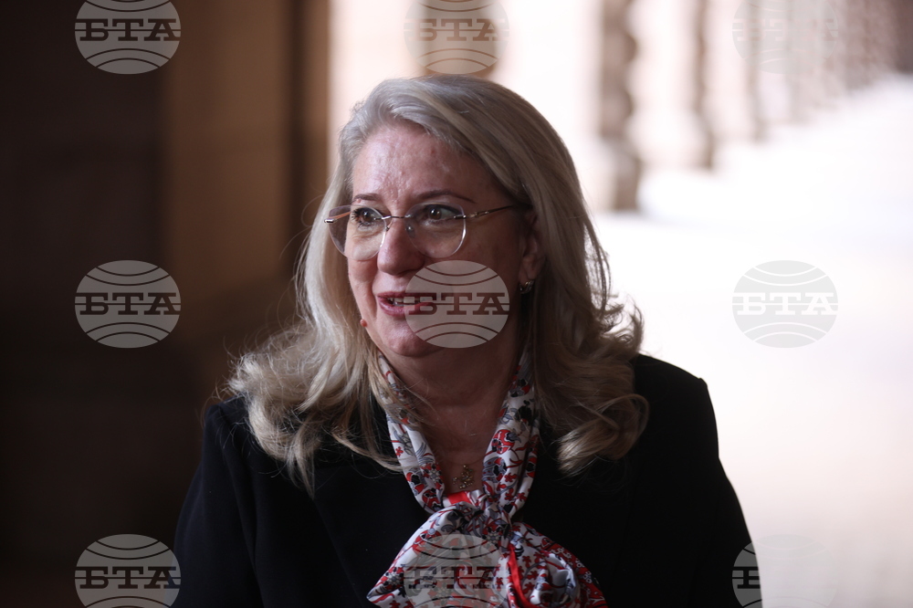 Ирена Георгиева - брифинг