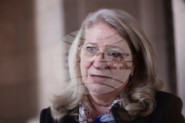 Ирена Георгиева - брифинг