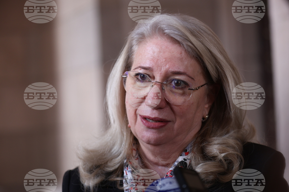 Ирена Георгиева - брифинг