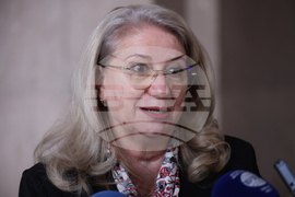 Ирена Георгиева - брифинг