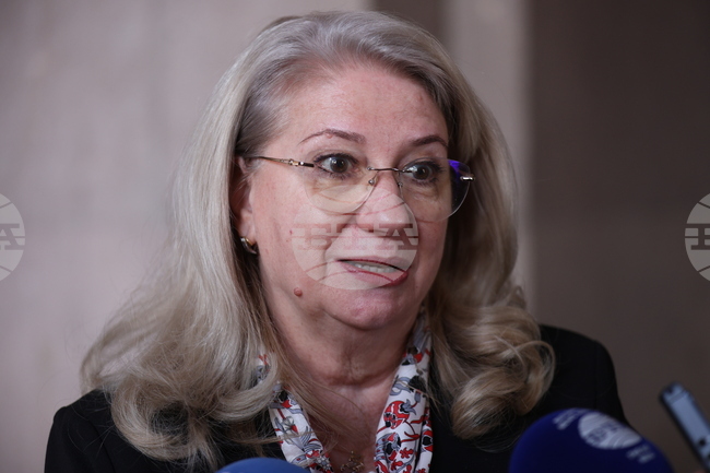 Ирена Георгиева - брифинг 