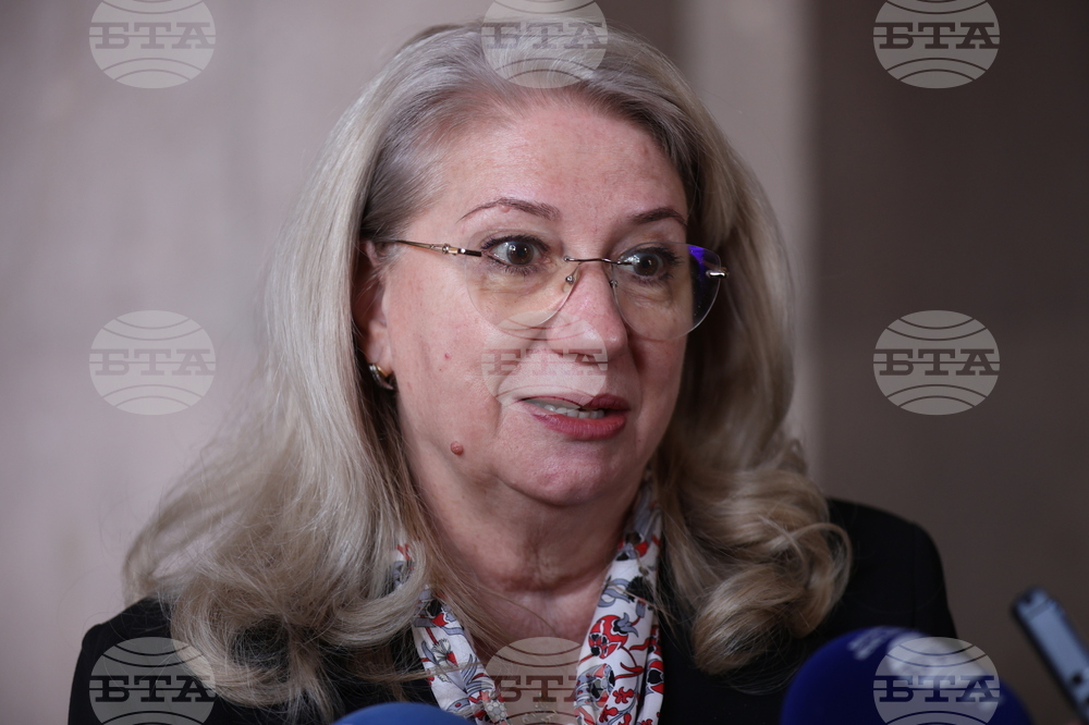 Ирена Георгиева - брифинг