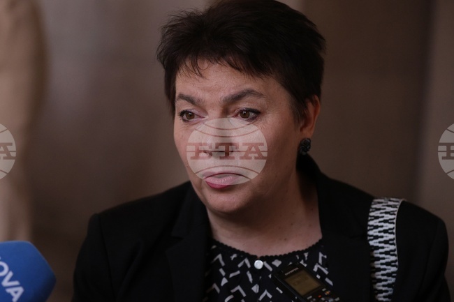 Павлина Илиева - брифинг