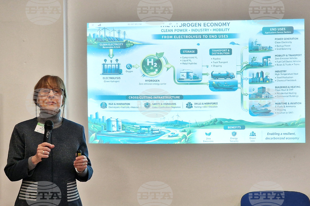 Националeн пресклуб на БТА - Стара Загора - интерактивен семинар - Дария Владикова