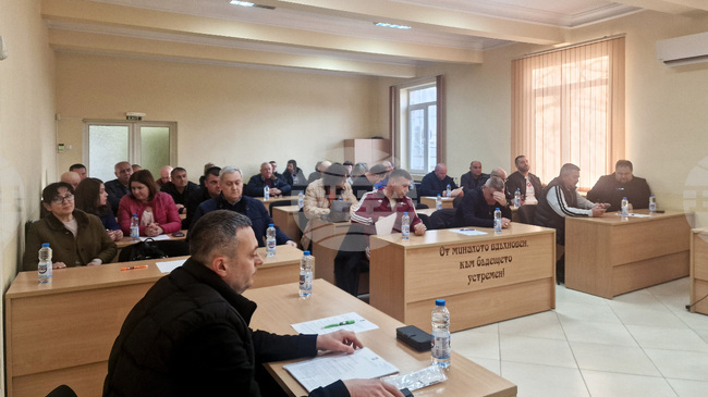 Община Исперих до една седмица ще сключи договор за кастрация и обезпаразитяване на бездомните кучета