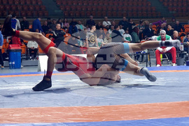 Пловдив - „Дан Колов - Никола Петров“ - турнир - борба