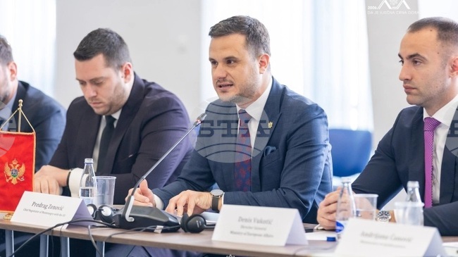 МИНА: Подгорица планира да затвори множество глави по време на ирландското председателство на ЕС, каза главният преговарящ на Черна гора