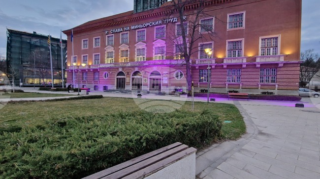 Сградата на Минна дирекция в Перник беше осветена в лилав цвят по повод Световния ден за информираност за епилепсията
