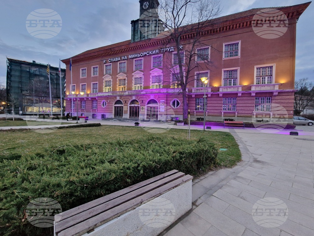 Сградата на Минна дирекция в Перник беше осветена в лилав цвят по повод Световния ден за информираност за епилепсията