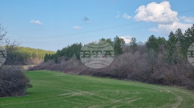 Общините Търговище и Попово се включват в екоинициативата „Часът на Земята“