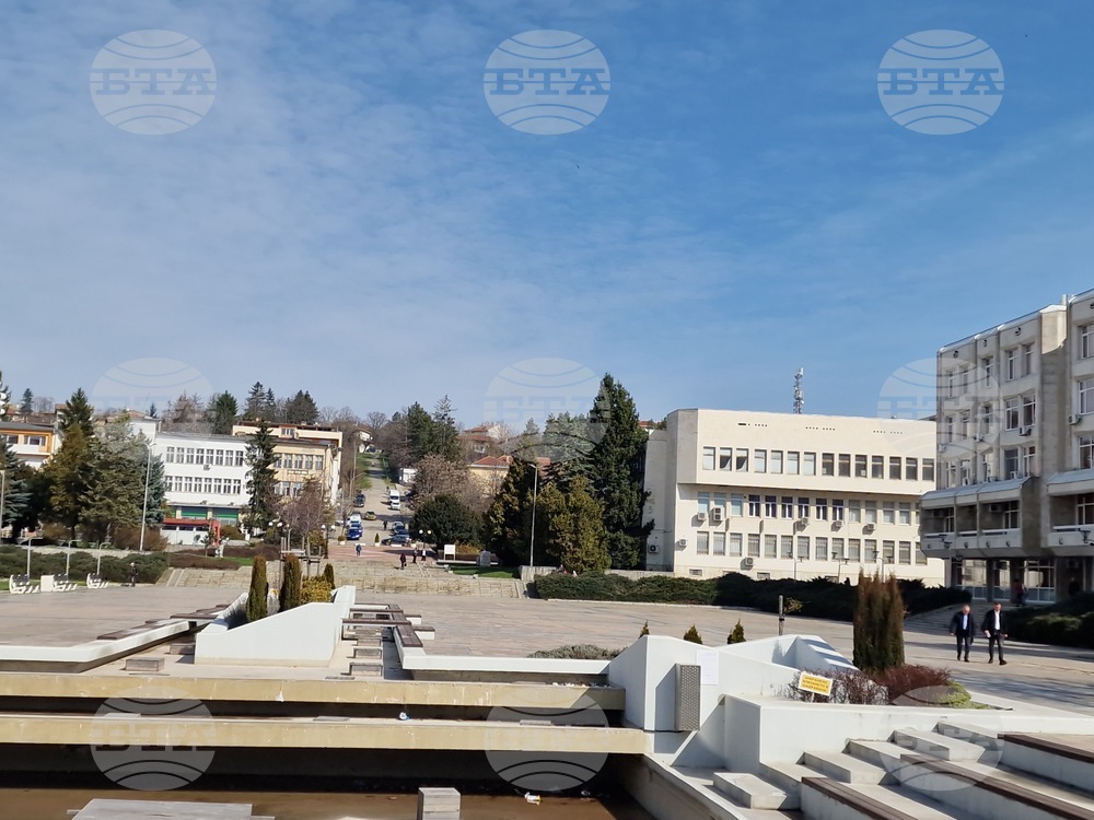 Обявени са общо 69 свободни работни места в Търговищка област, за 16 от тях се изисква висше образование