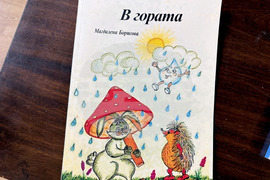 Самоков - Христо Христов - книги