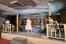 Свищов - театри - фестивал