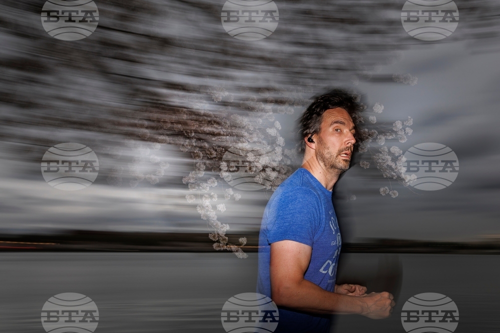 Washington Cherry Blossom