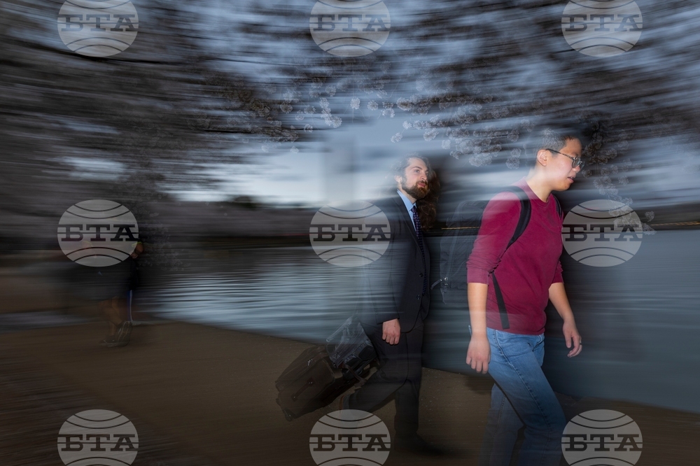 Washington Cherry Blossom