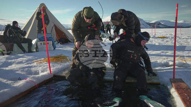 Все повече учени се гмуркат под леда на Арктика и Антарктика, за да определят как климатичните промени засягат флората и фауната