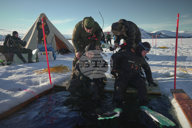 Все повече учени се гмуркат под леда на Арктика и Антарктика, за да определят как климатичните промени засягат флората и фауната