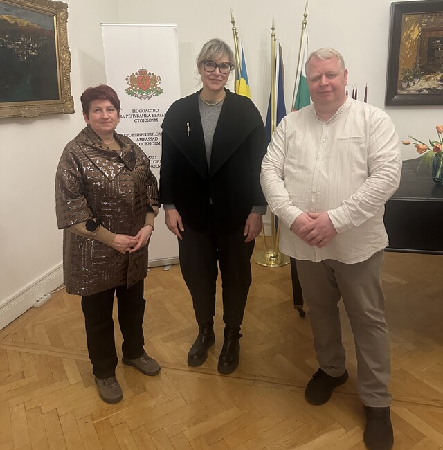 Сдружението „Асоциация за инсулт и афазия“ представи на среща с представители на българската общност в Швеция основни аспекти от дейността си