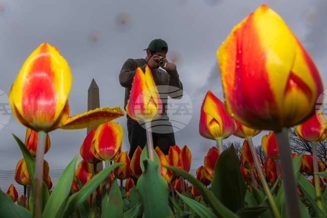 Washington Daily life