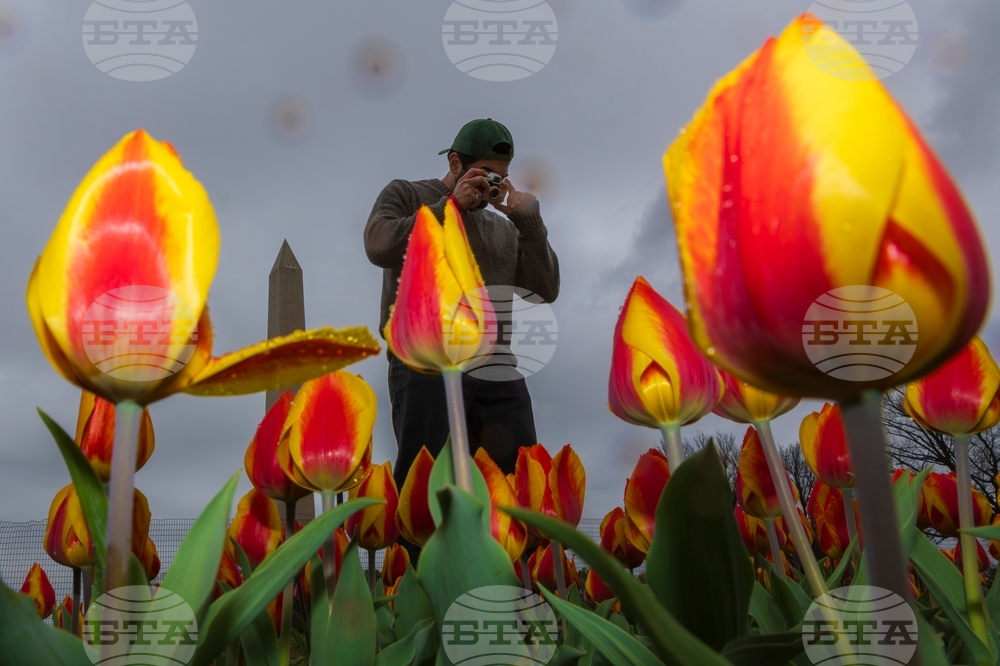 Washington Daily life