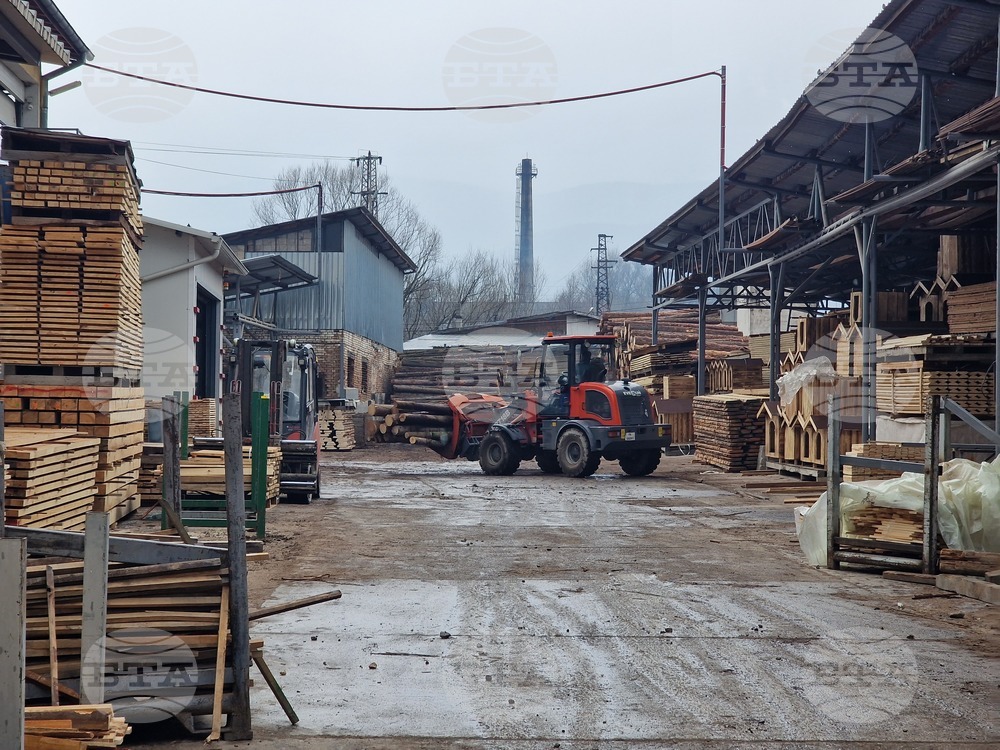 Ракитово - "Палисандър" ООД - дървообработване