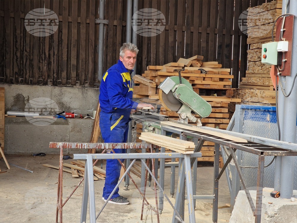 Ракитово - "Палисандър" ООД - дървообработване